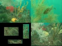 Albums/20060200-New Zealand 2006/20060211-Milford Sound/57